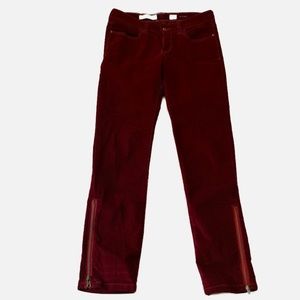 Anthropologie Burgundy pants